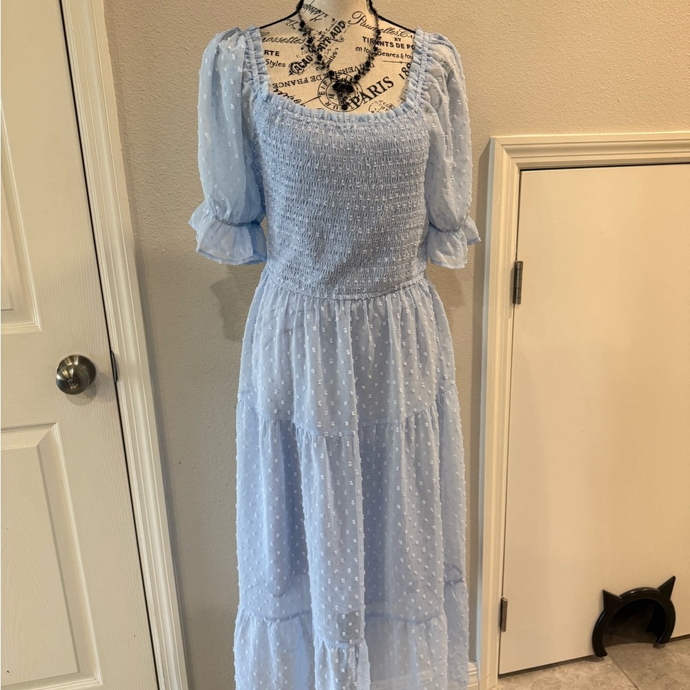 New York & Company Pale Blue Swiss Dot Maxi Dress with Smocked Bodice